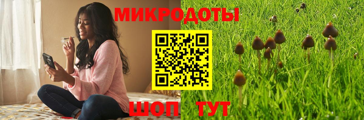 Галлюциногенные грибы Psilocybe Черкесск
