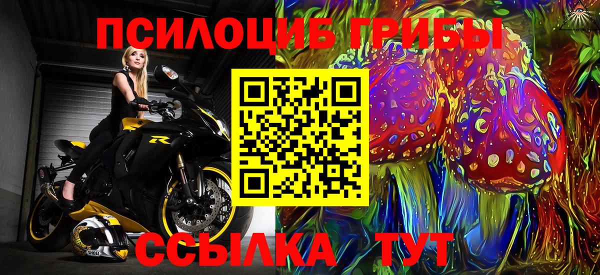 Галлюциногенные грибы GOLDEN TEACHER  Вход с VPN  Псилоцибиновые грибы мухоморы  Черкесск 